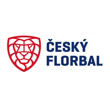 Český Florbal